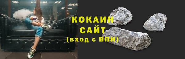 шишки Аркадак