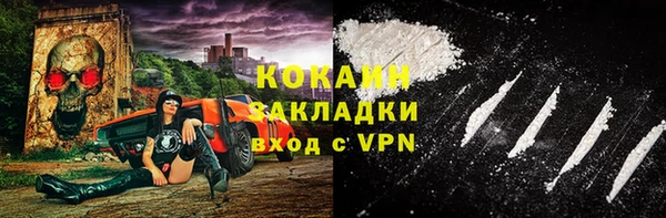 шишки Аркадак