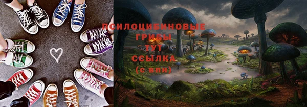 шишки Аркадак