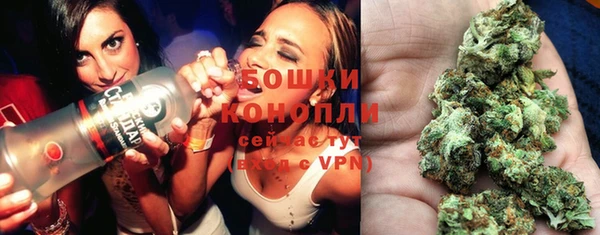 шишки Аркадак