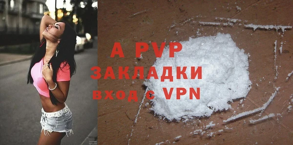 стафф Арсеньев