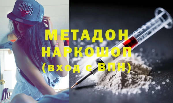 шишки Аркадак