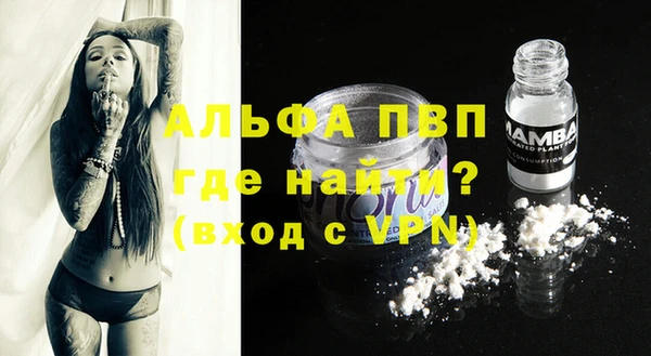 стафф Арсеньев