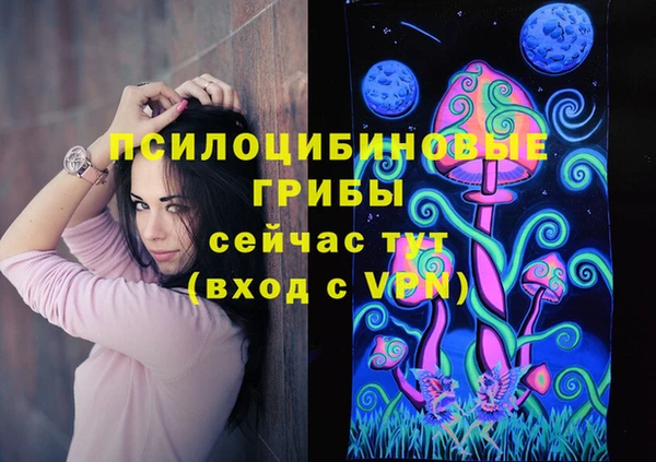 шишки Аркадак