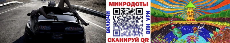 Купить где  Клинцы  Галлюциногенные грибы Cubensis 